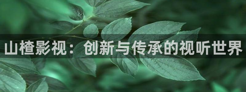 妈妈的朋友酷客影院：山楂影视：创新与传承的视听世界
