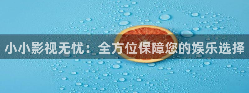 酷客影院最新入口：小小影视无忧：全方位保障您的娱乐选择