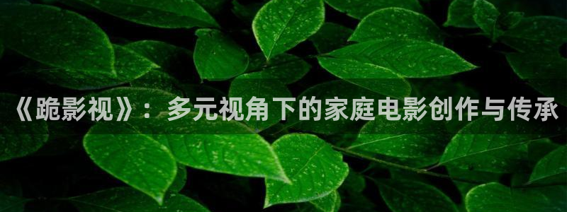 酷客影院色戒：《跪影视》：多元视角下的家庭电影创作与传承