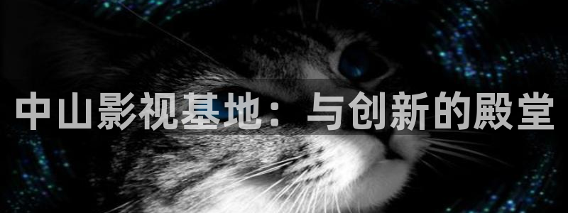 伦理片酷客影院：中山影视基地：与创新的殿堂