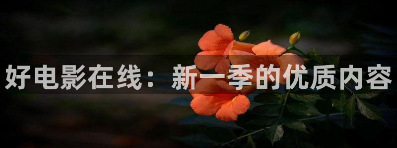 酷客影院在线免费观看：好电影在线：新一季的优质内容