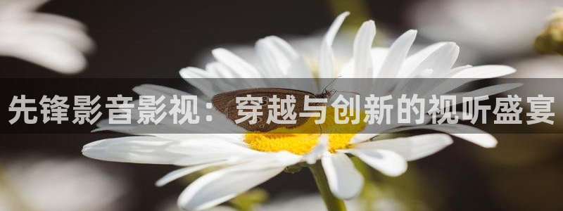酷客电影免费酷客：先锋影音影视：穿越与创新的视听盛宴