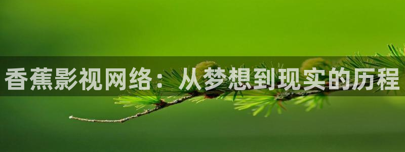 酷客影院日本伦理：香蕉影视网络：从梦想到现实的历程