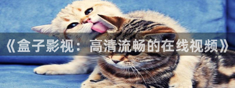 酷客影院高清在线观看：《盒子影视：高清流畅的在线视频》