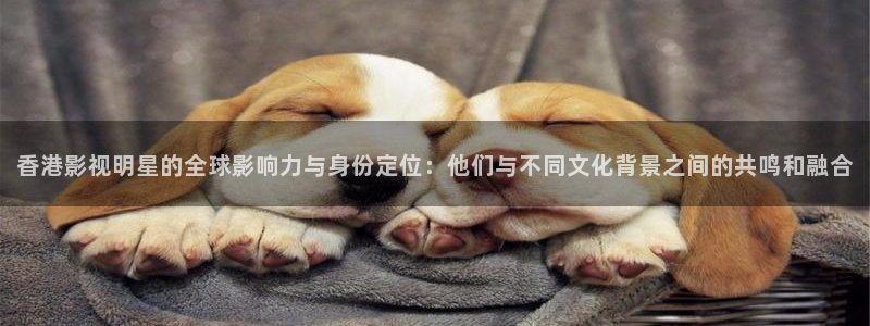 酷客影院新入口：香港影视明星的全球影响力与身份定位：他们与不同文化背景之间的共鸣和融合