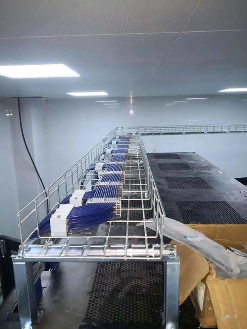 强迫症的福音 弱电工程师的高标准施工艺术