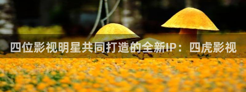 酷客影院电视剧在线观看：四位影视明星共同打造的全新IP：四虎影视