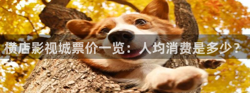 酷客影院首页电视剧：横店影视城票价一览：人均消费是多少？