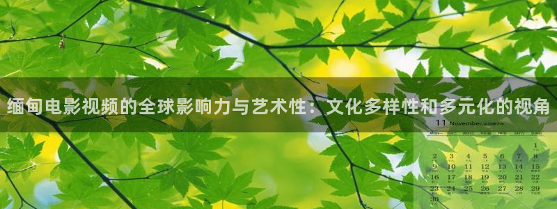 手机影院酷客影院：缅甸电影视频的全球影响力与艺术性：文化多样性和多元化的视角